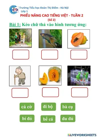 Phiếu Tiếng Việt
