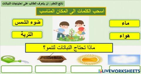 ماذا تحتاج النباتات ؟