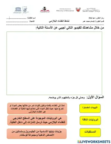 الغشاء البلازمي