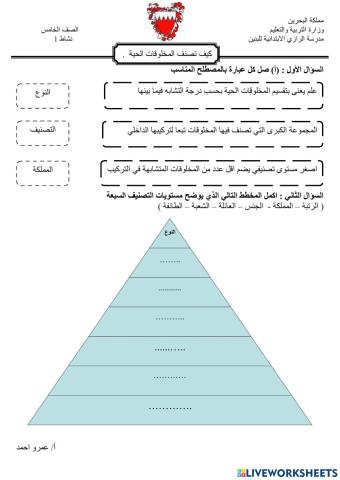 كيف تصنف المخلوقات الحية