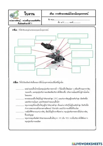 การศึกษาเซลล์ด้วยกล้องจุลทรรศน์