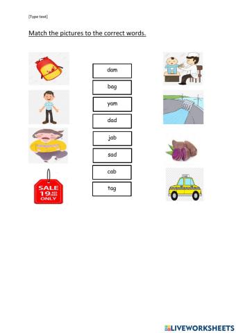 Match pictures with correct words