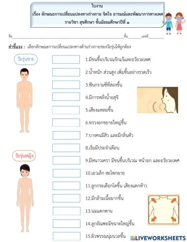 ใบงานสุขศึกษา ม.1