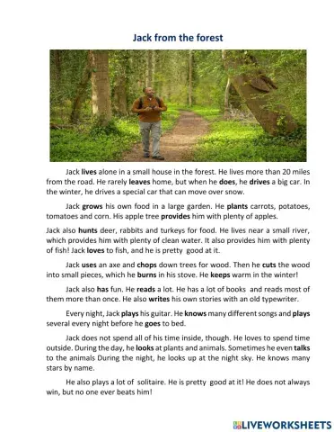 Jack from the forest