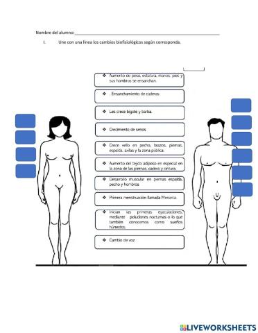 Cambios en la adolescencia