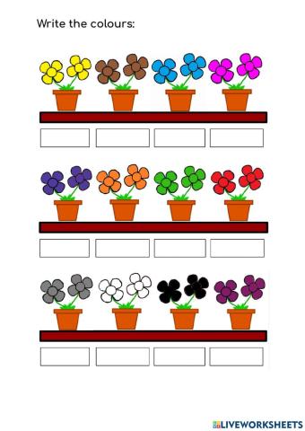 Colours - flowers