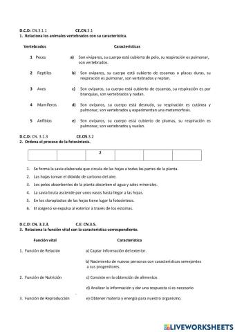 Tarea diagnóstica