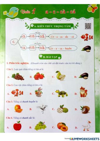 Bài tập Tiếng Việt Tuần 1