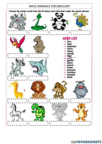 Wild Animals Vocabulary