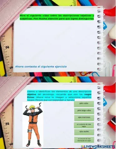 Descripción objetiva y subjetiva