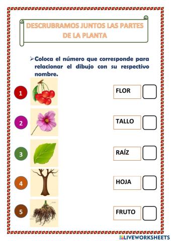 Partes de la planta