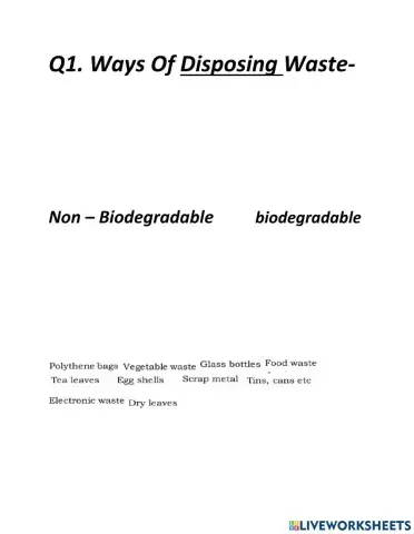 Bridge and waste management