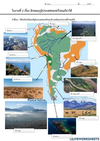 ทวีปอเมริกาใต้