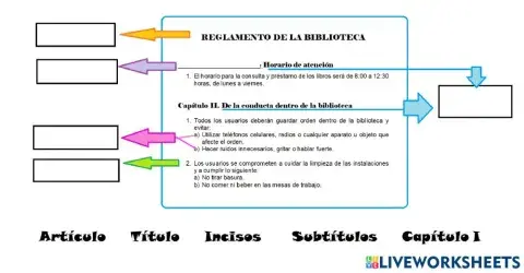 Partes del reglamento