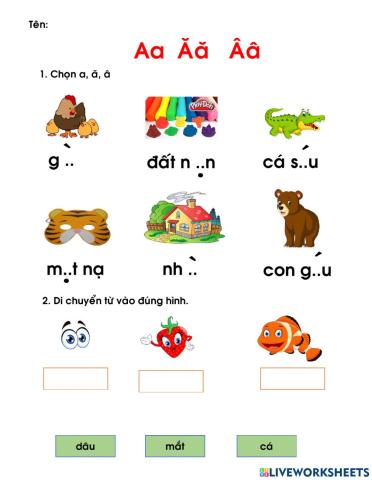 Bài tập a ă â