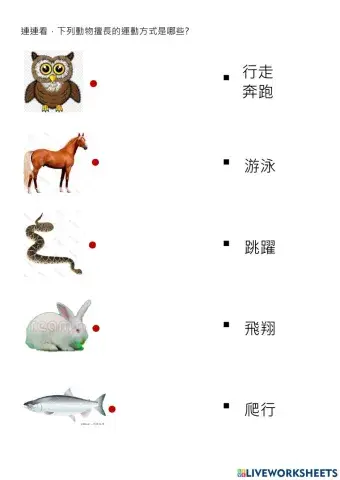 動物的運動方式