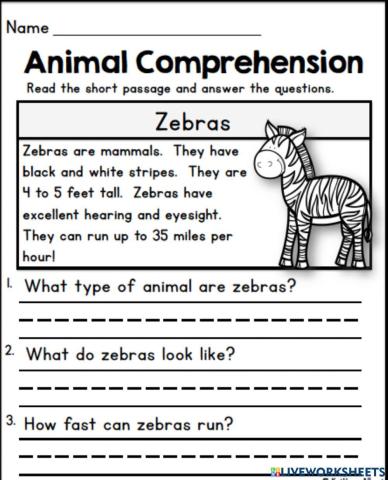 Zebra reading comprehension worksheet
