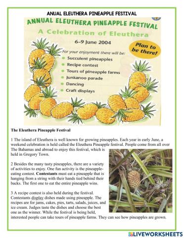 The annual pineapple festival