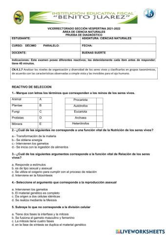 Prueba de diagnostico