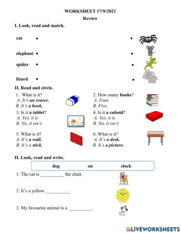 Worksheet 17-9-2021