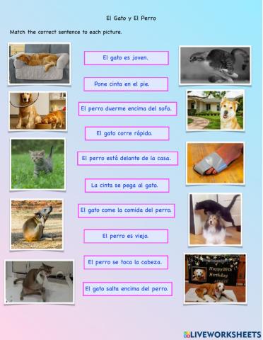 Gato y Perro Sentences
