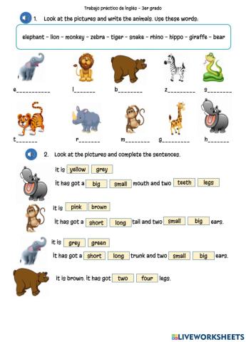 Trabajo practico wild animals