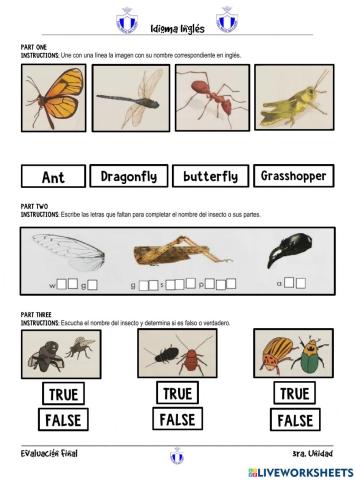 Hoja de trabajo los insectos