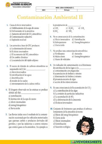 Contaminacion ambiental
