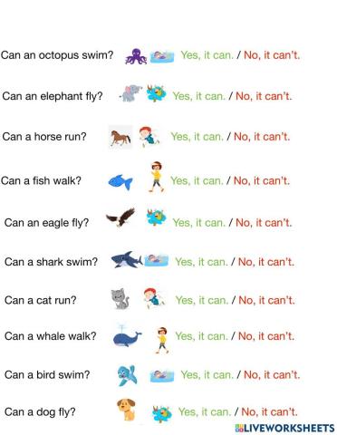 What can animals do?