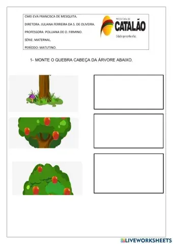 Professora Polliana Firmino..