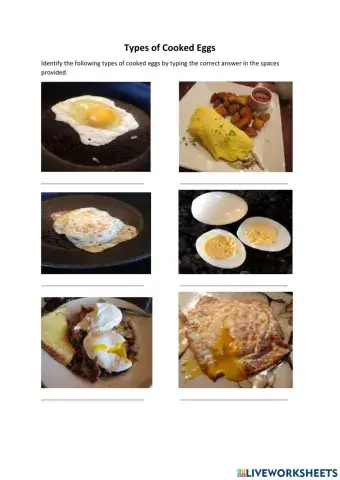 Types of cooked Eggs