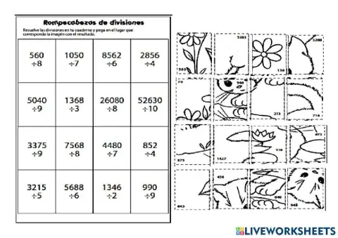 División-rompecabeza