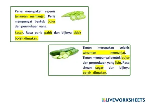Persamaan dan perbezaan Timun dan Peria