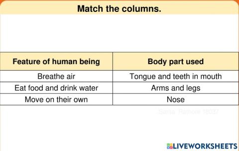 Feature of human beings