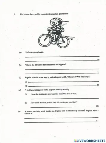 Health and Hygiene Worksheet BJC