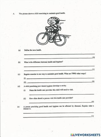 Health and Hygiene Worksheet BJC