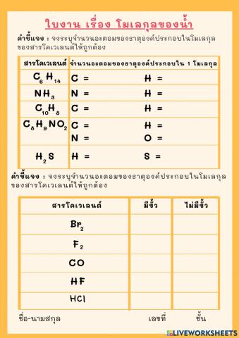 ใบงาน เรื่อง โมเลกุลของน้ำ ม.5-4