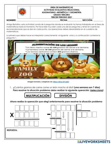 Actividad evaluativa relacional