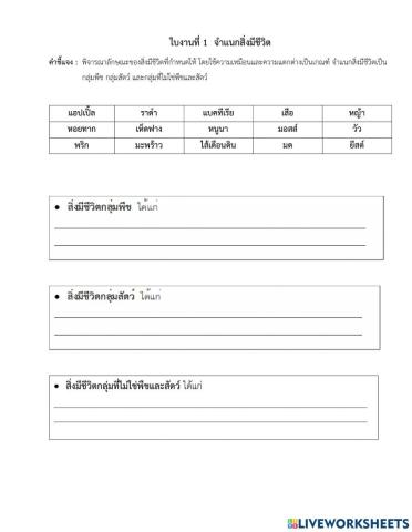 ใบงานวิทยาศาสตร์ ป.4