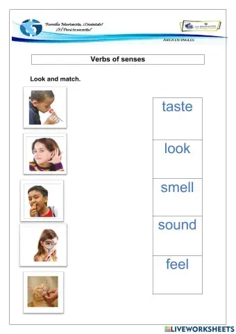 Verbs of senses