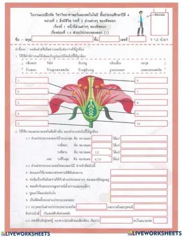 เรื่อง พืชดอก