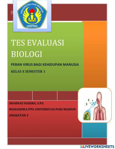 Soal tes evaluasi
