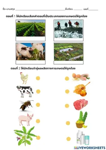 งานเกษตร ป.1