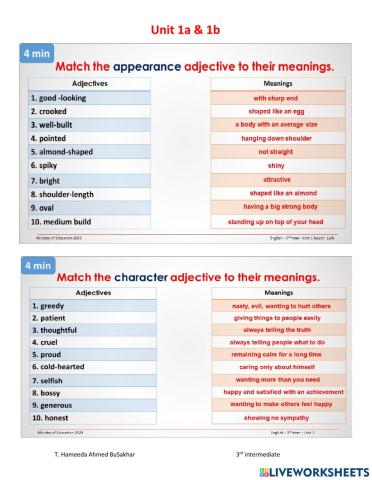 Adjectives with their meaning