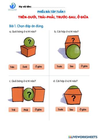 Trên - Dưới. Phải - Trái. Trước - Sau. Ở giữa