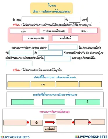 การสังเคราะห์ด้วยแสงของพืช