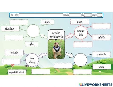 ใบงาน แผนภาพความคิด เรื่อง แพรี่ด็อก สัตว์เลี้ยงตัวจิ๋ว