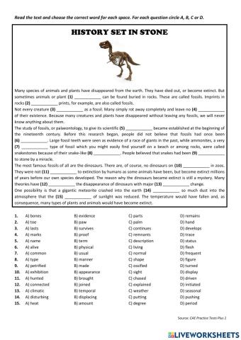 History set in stone