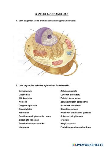 Zelula-organuluak