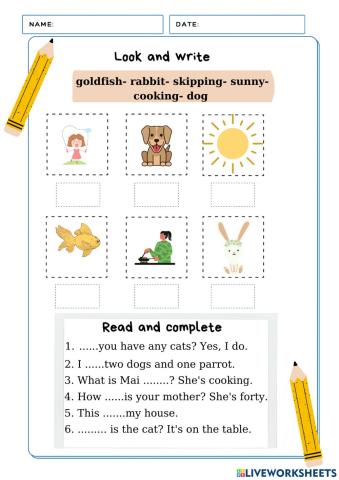 Review Unit 16-20 Grade 3